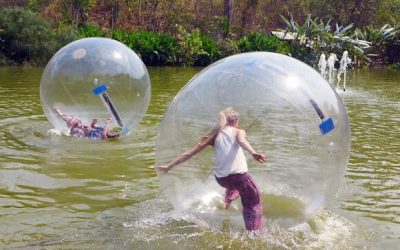 zorbing (1)